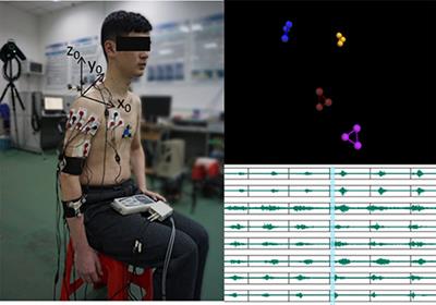 Simultaneous and Continuous Estimation of Shoulder and Elbow Kinematics from Surface EMG Signals